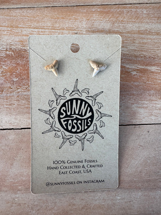 Sunny Fossils