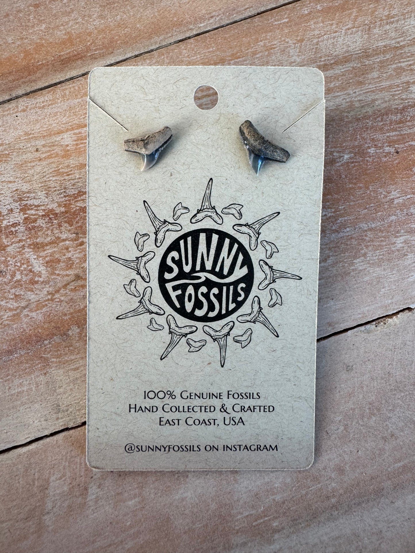 Sunny Fossils